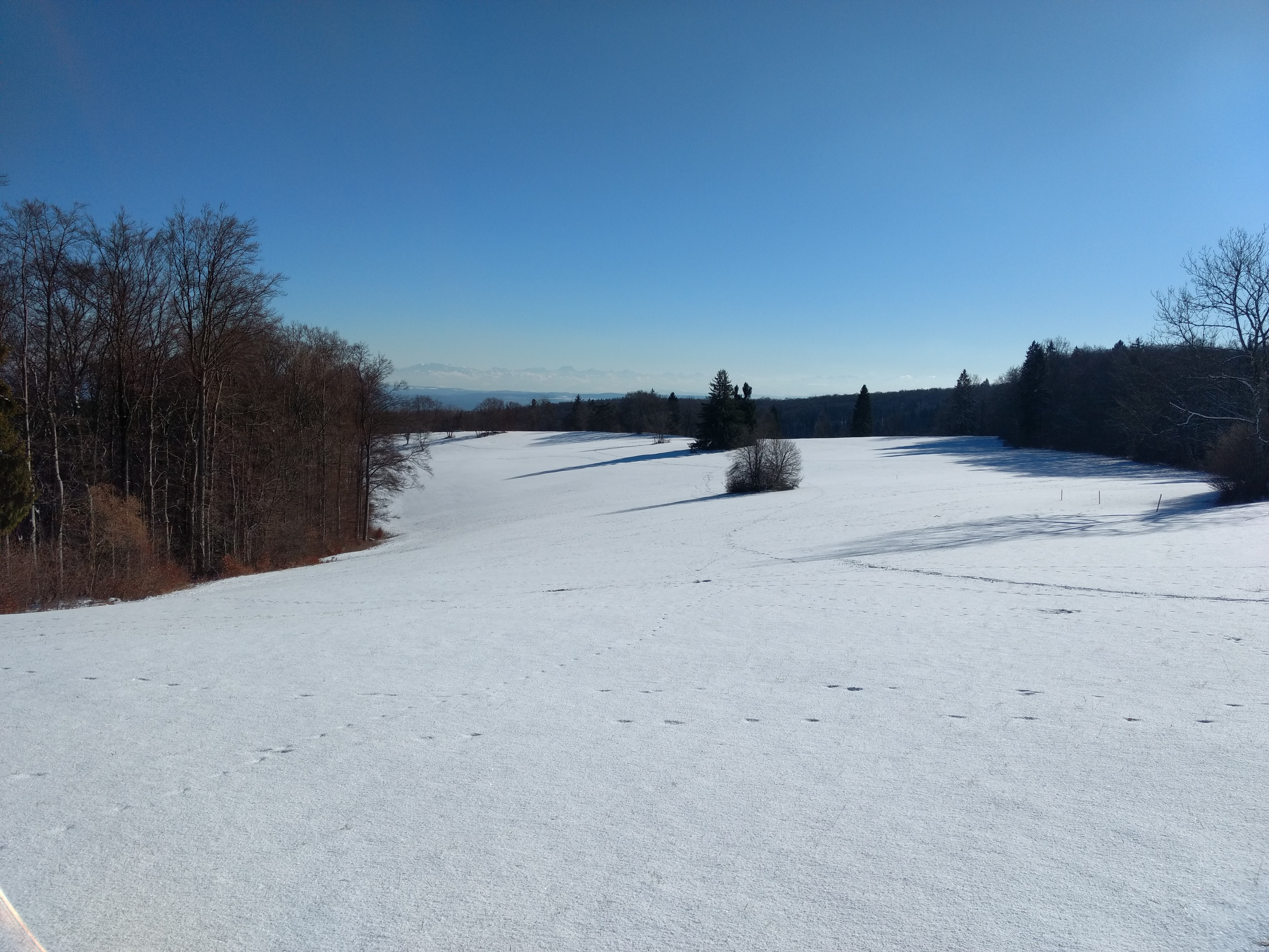 Zelgli Richtung Mösli