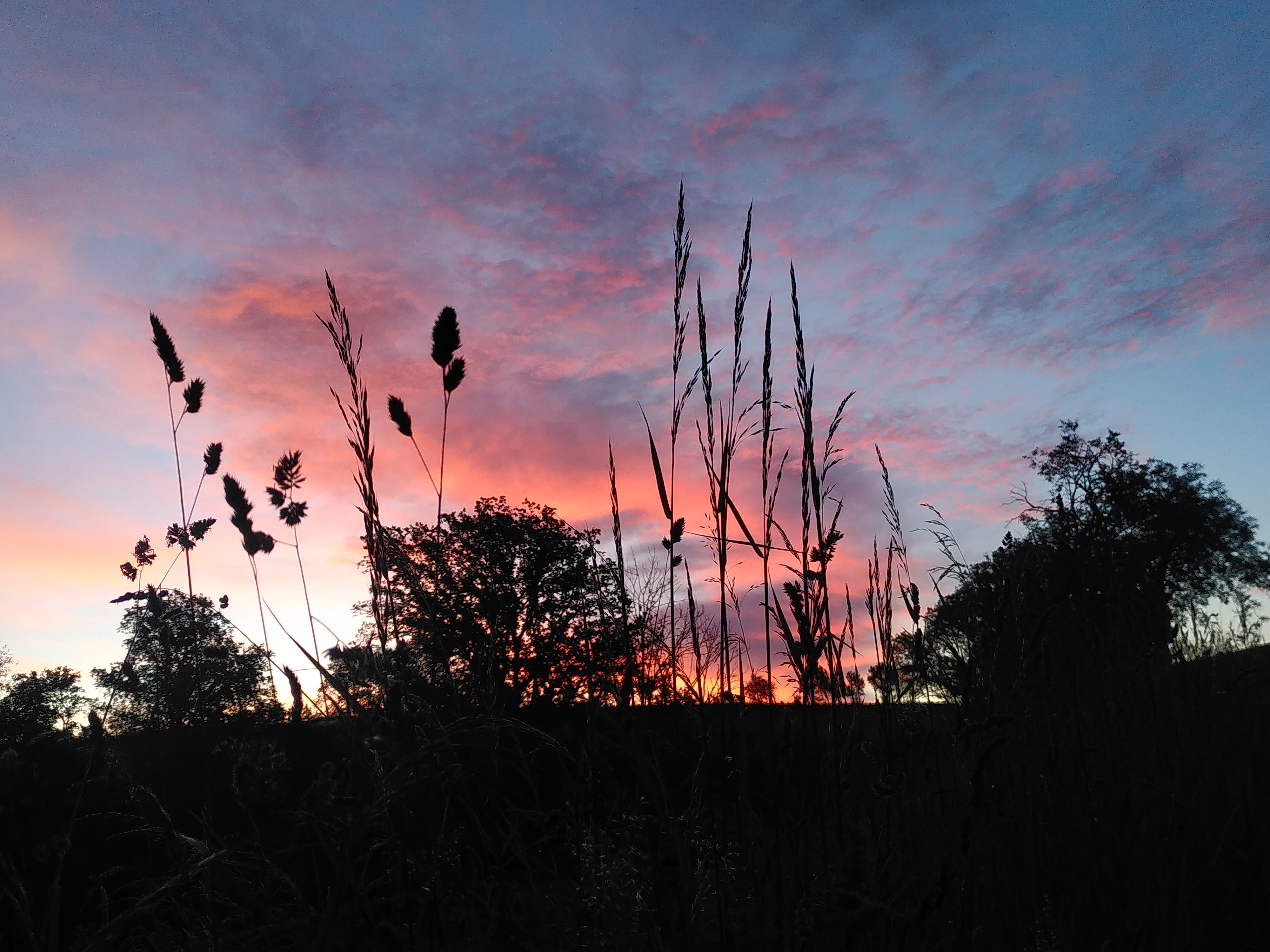 Feiertagsfriedenstimmung