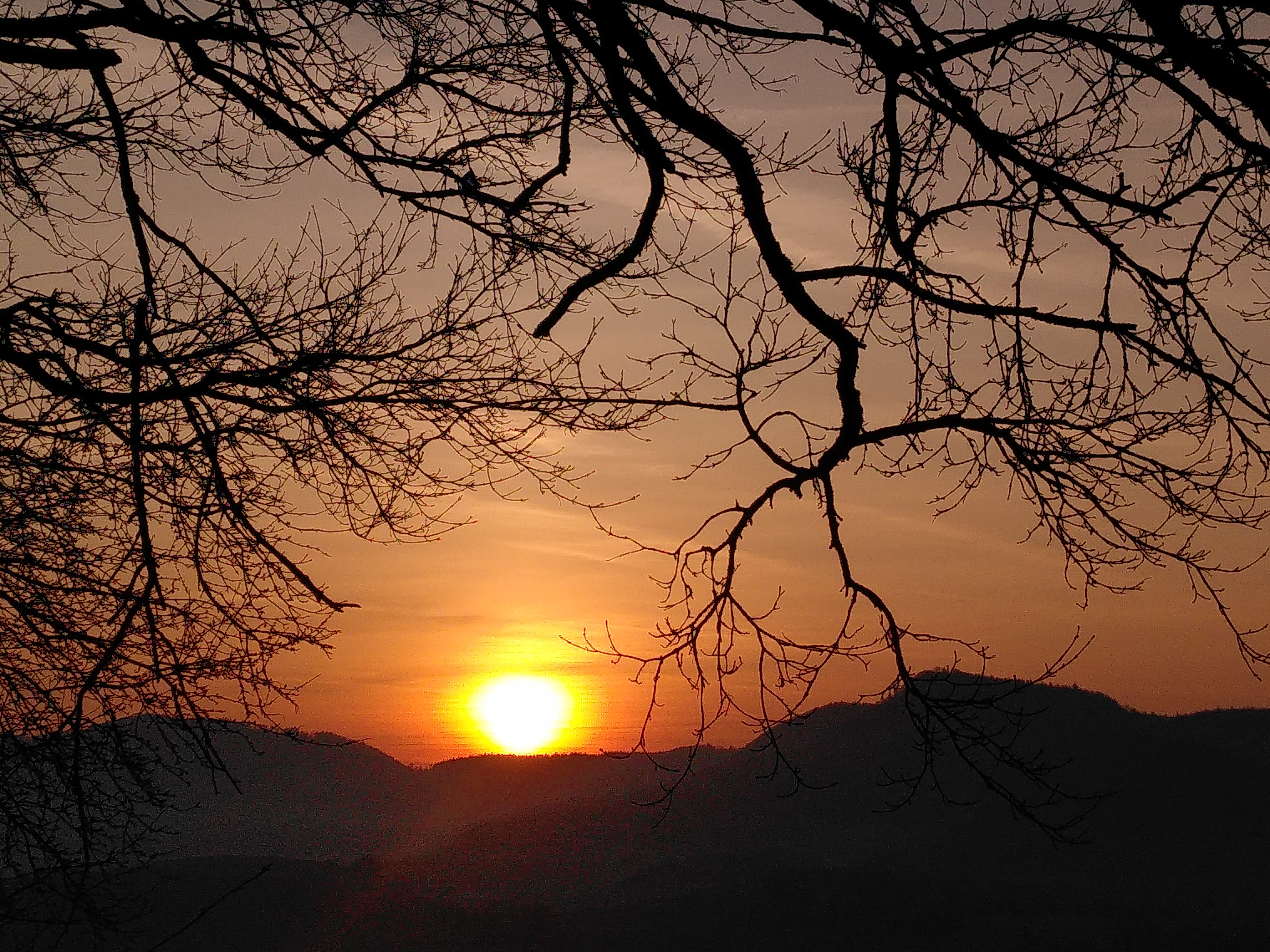 Habt einen friedlichen Tag