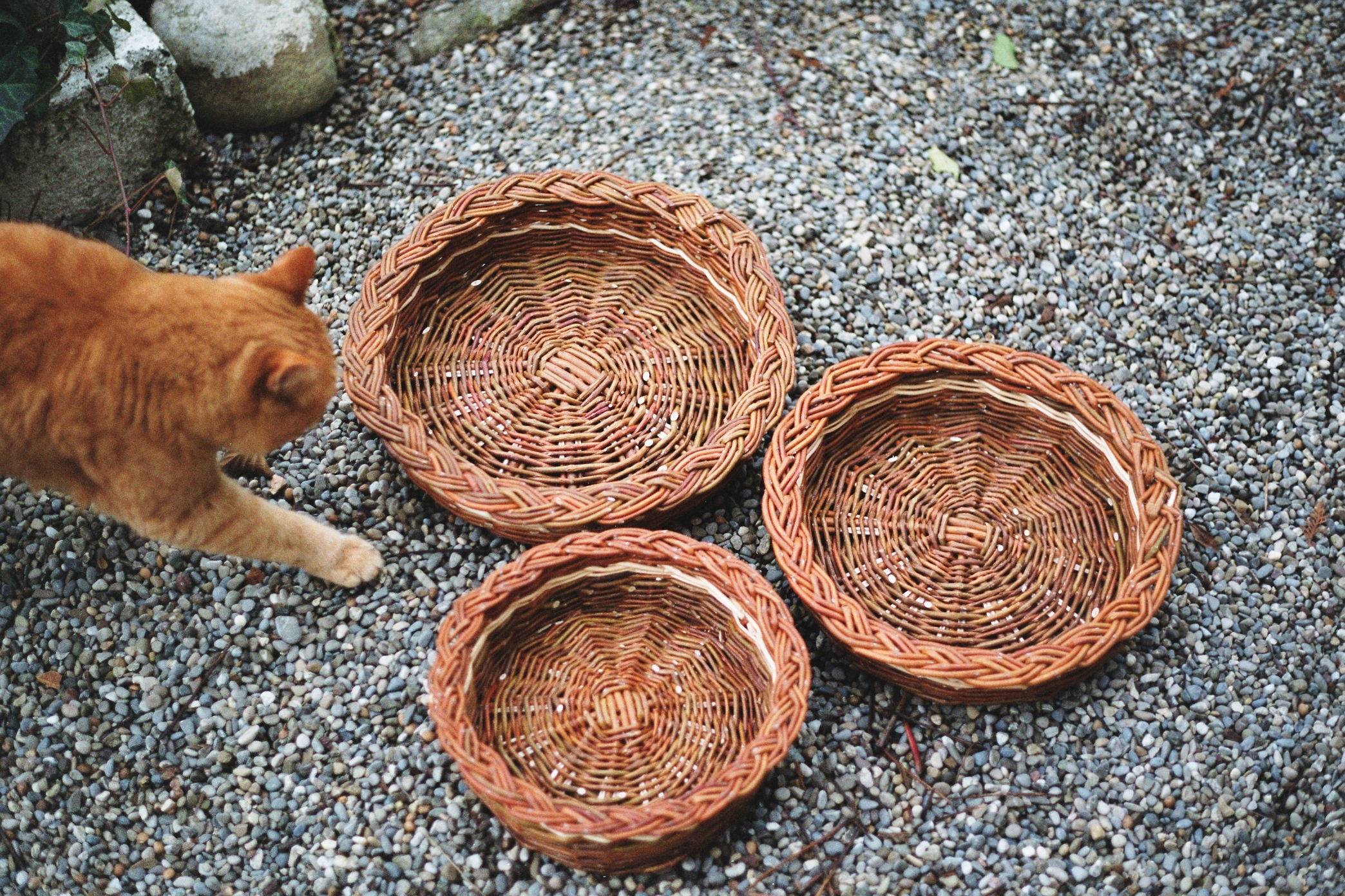 Neue Webseite Der Korbflechterin