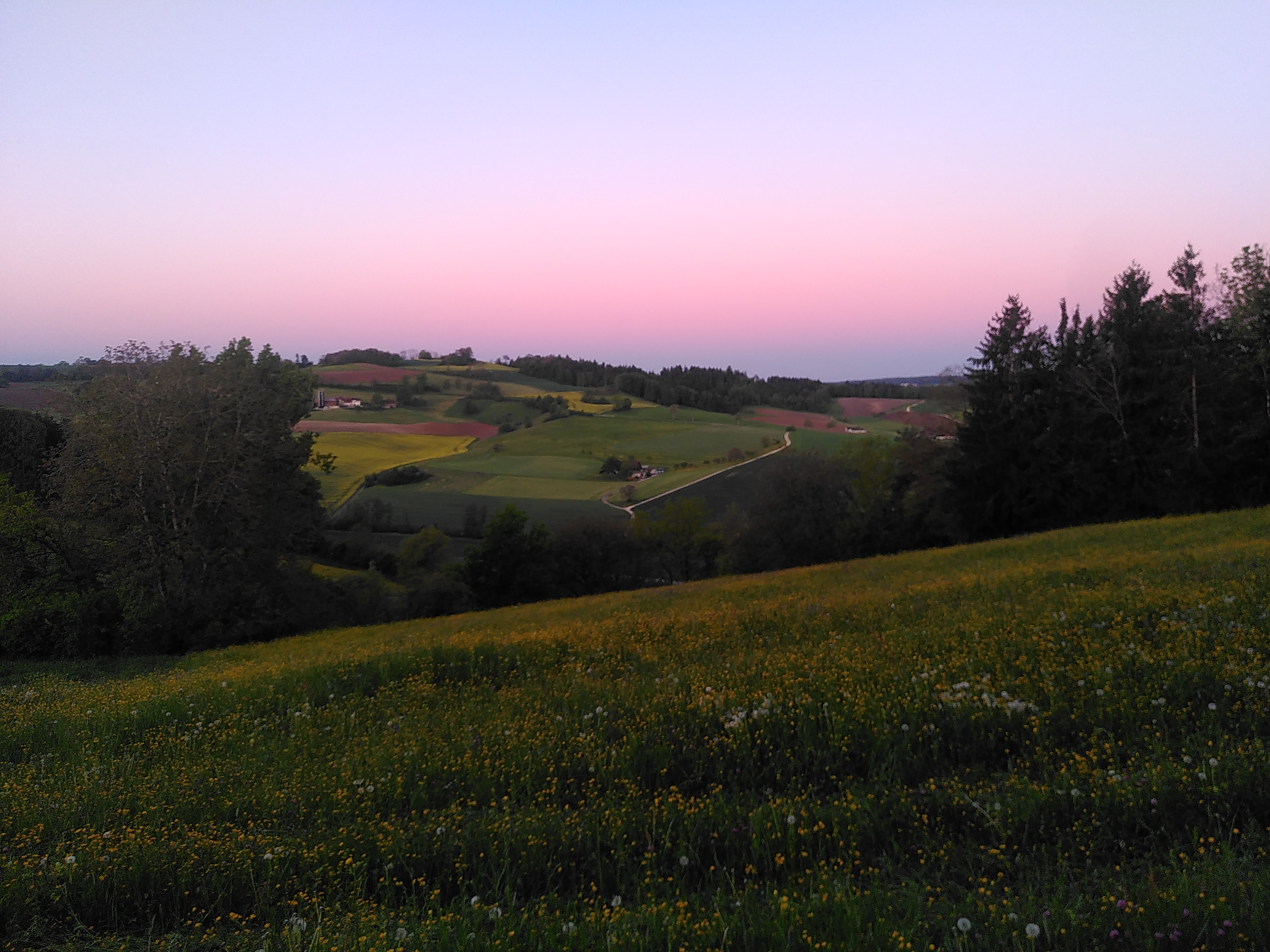 Morgenglück