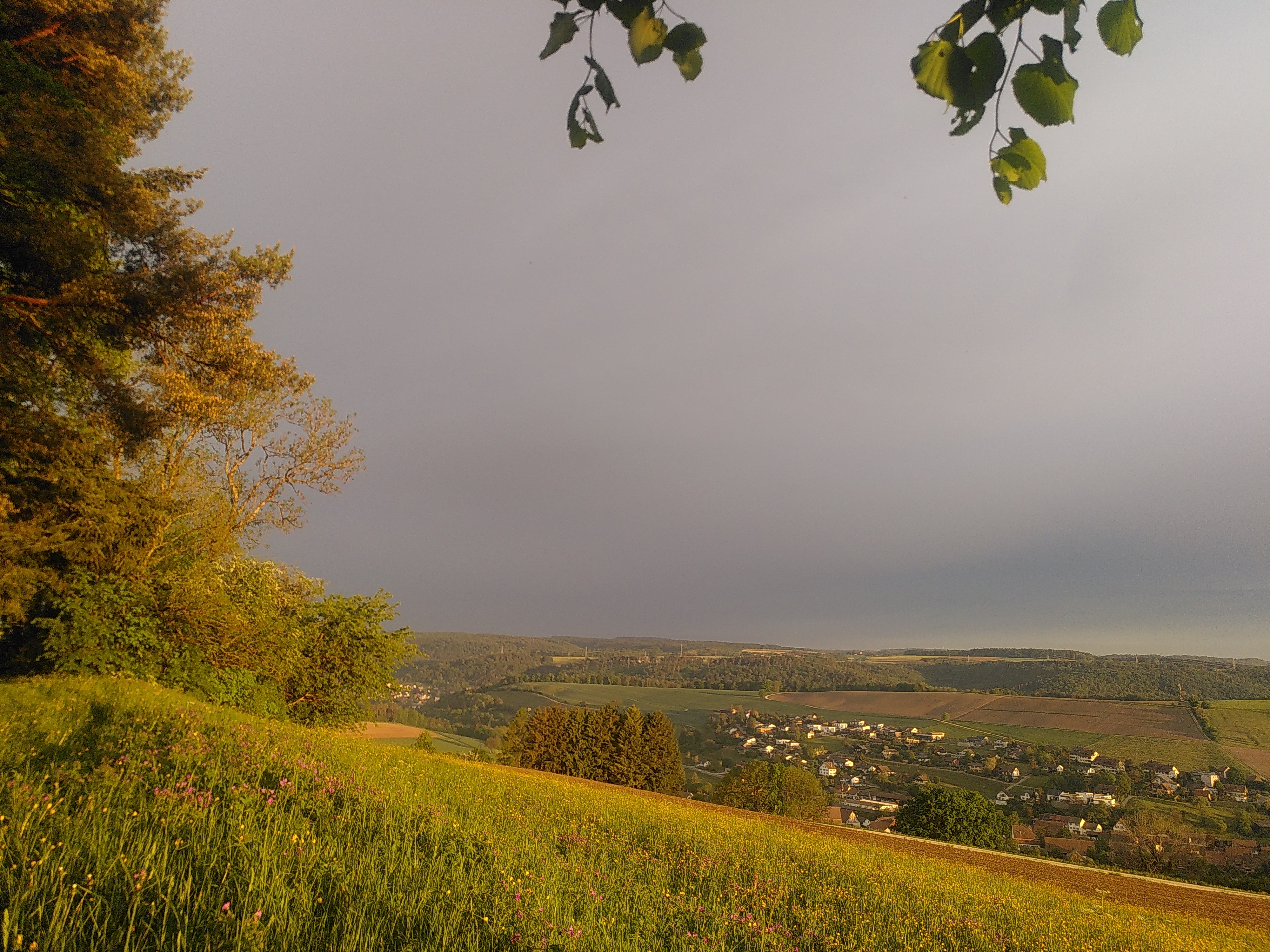 Auf einen regenreichen Tag