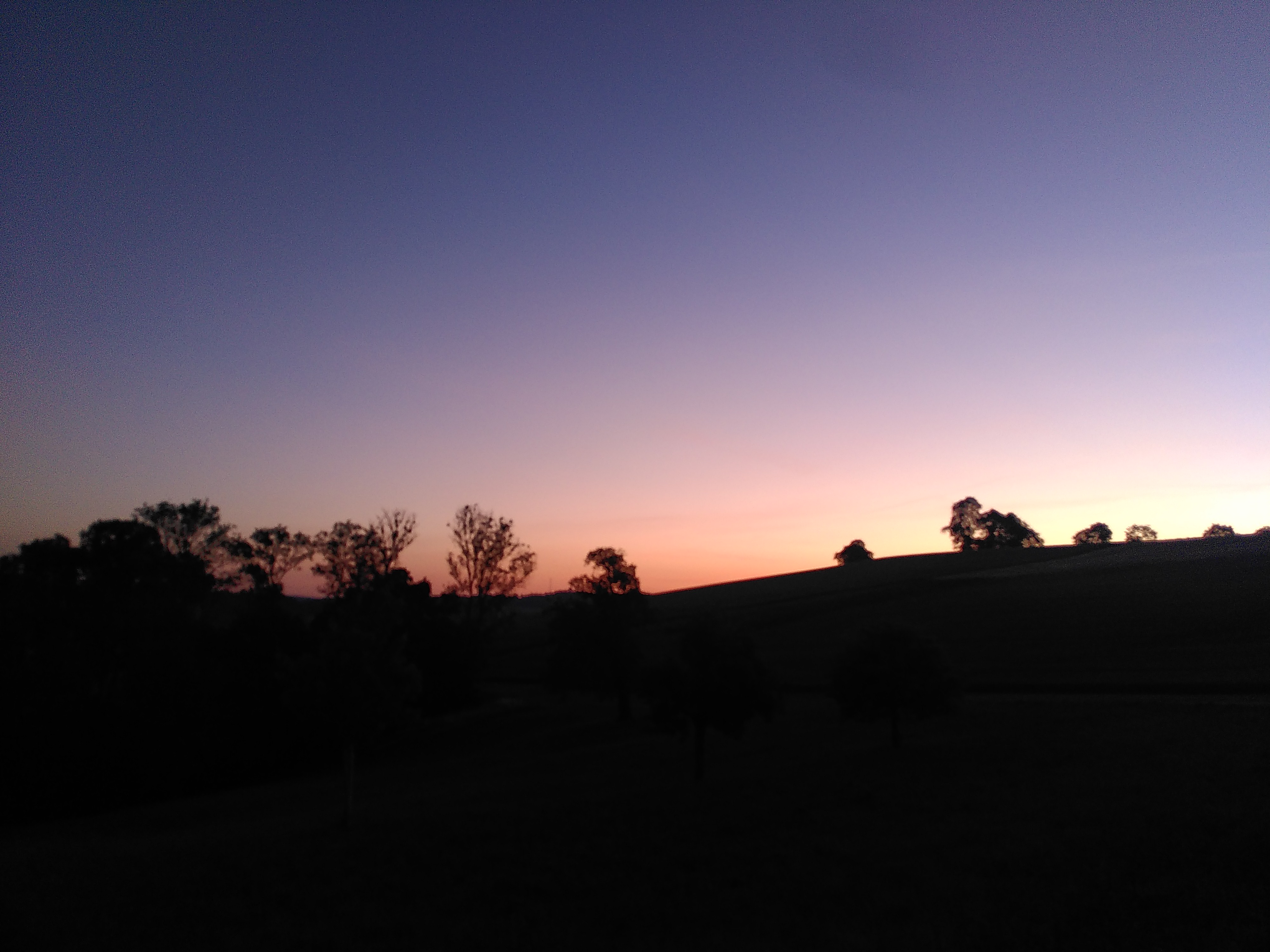 Morgenfrische