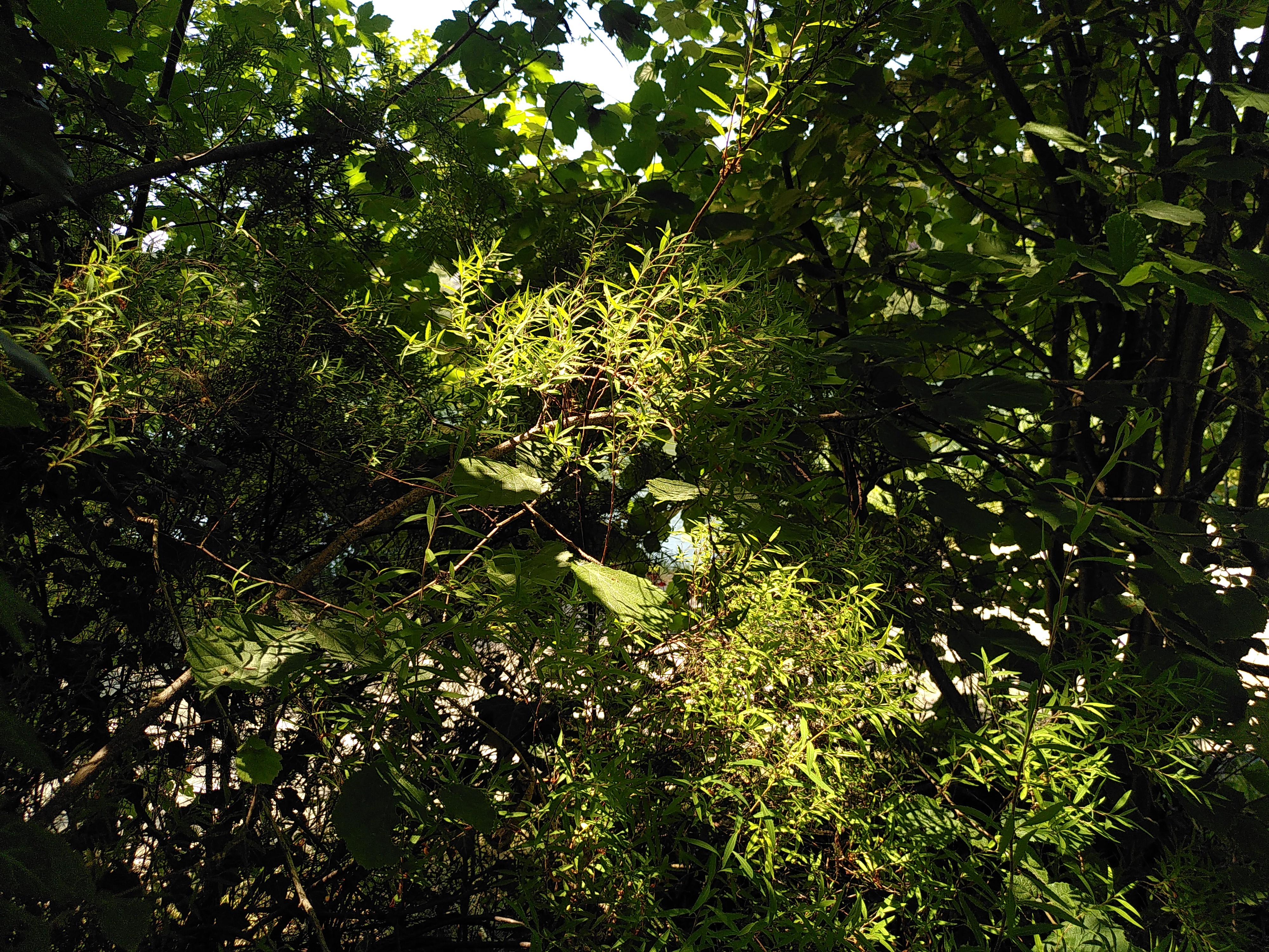 Licht und Schatten