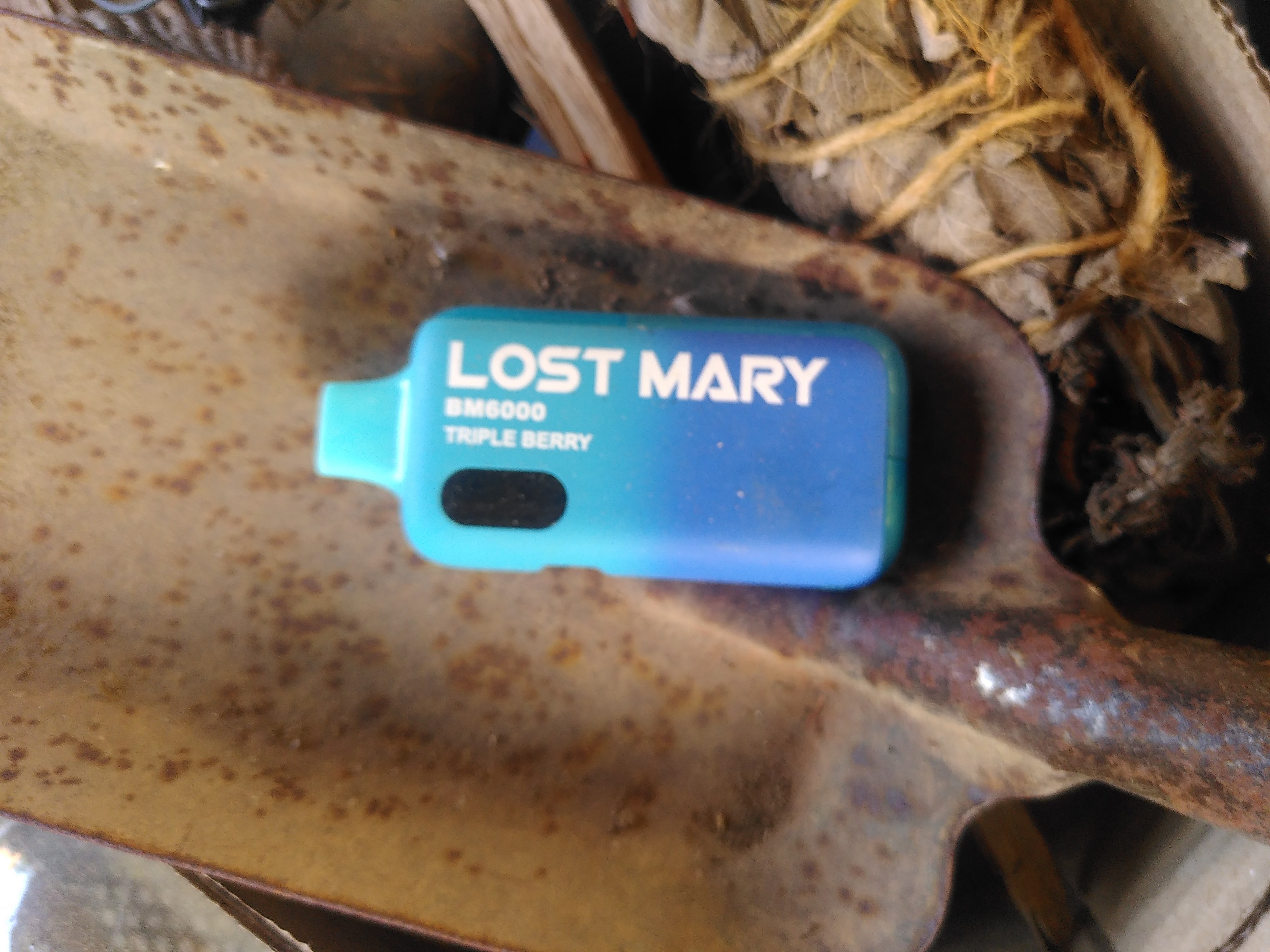 Lost Mary... Schönen Sonntag