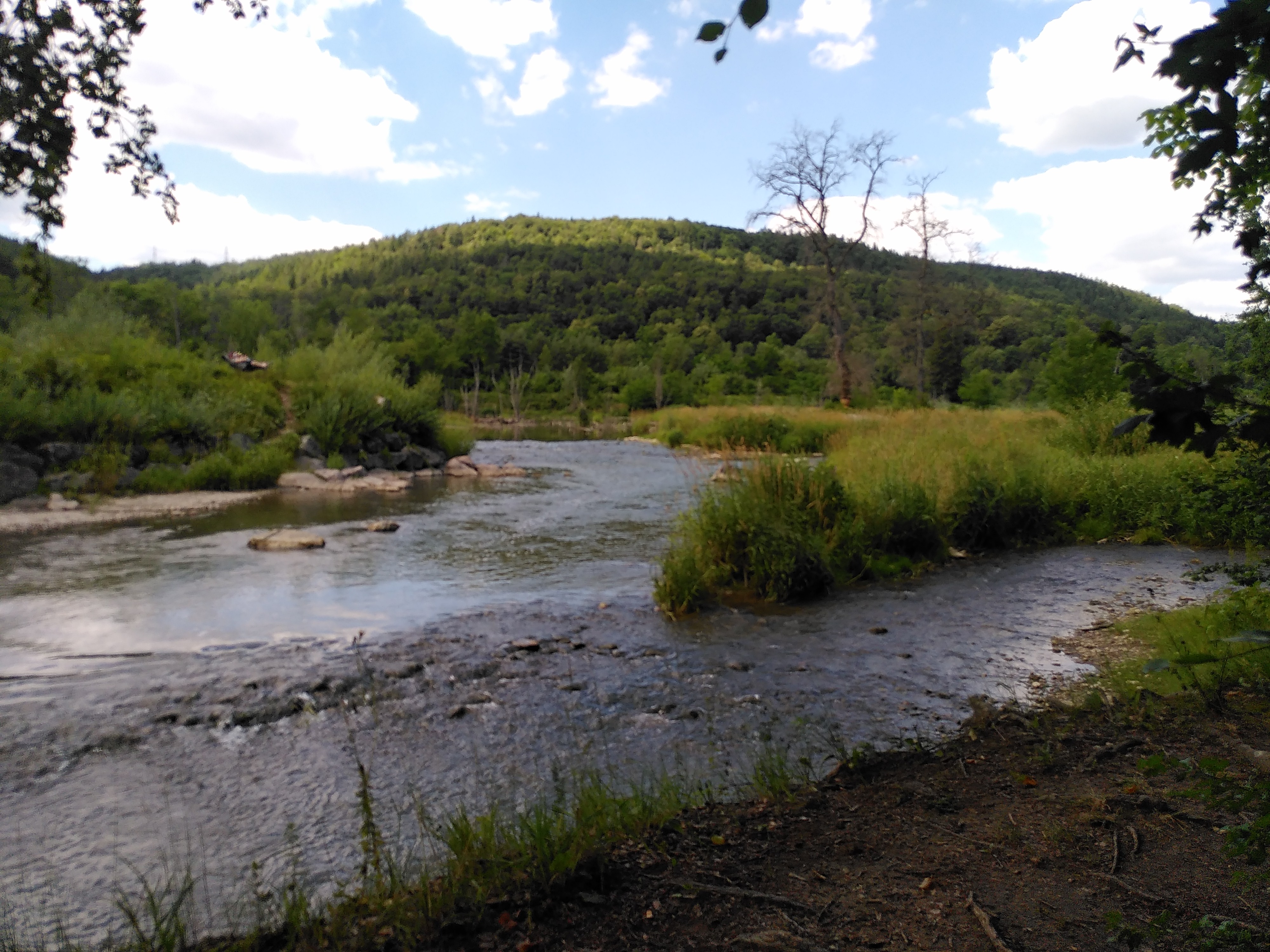 An der Wutach